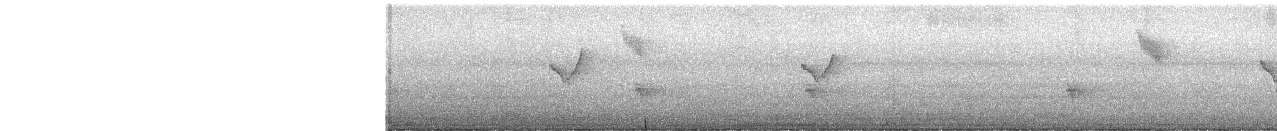 Txio marrabikoa - ML646168597