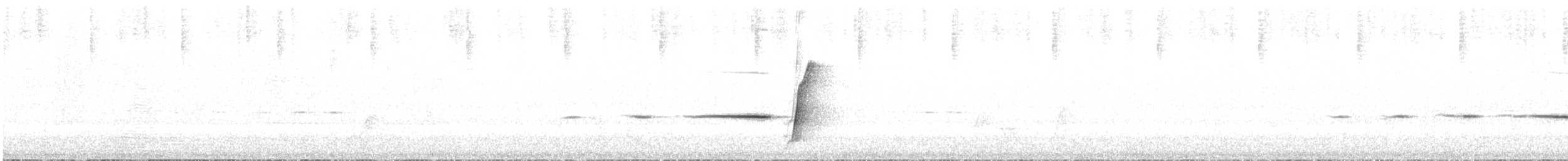 Golden Whistler (Western) - ML646168641