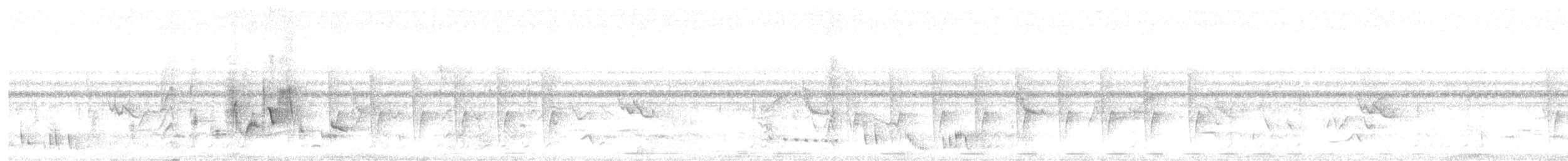 leskoptev černobřichá - ML646168899