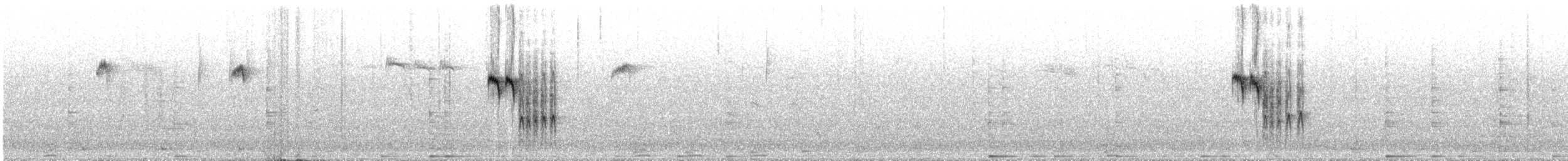 Amilotx mottoduna - ML646168930