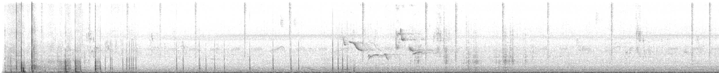 Papogorri siberiarra - ML646169127