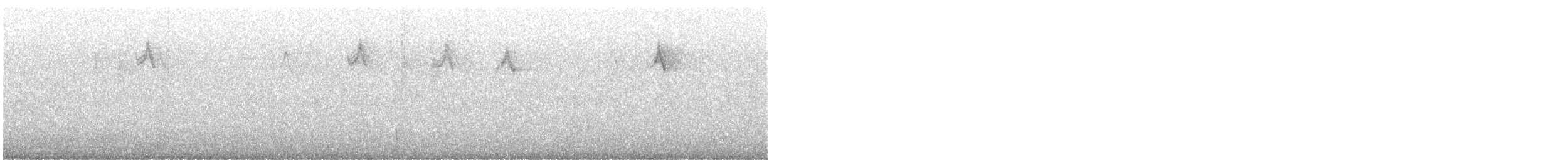 Gros-bec casse-noyaux - ML646169746