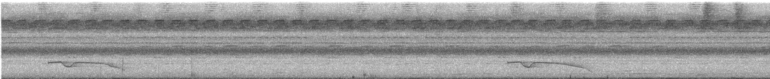 Great Eared-Nightjar - ML646169947