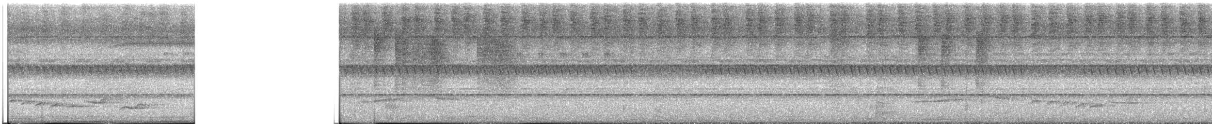 White-rumped Shama - ML646169983