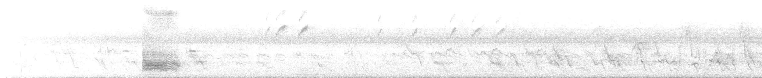 Broad-billed Roller - ML646169998