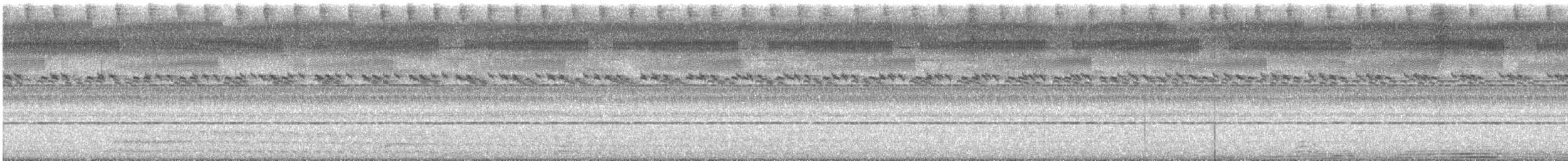 Slaty-legged Crake - ML646170006