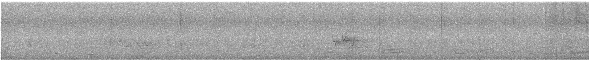 Codorniz Pectoral - ML646170196