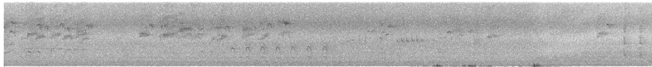 purpurisselori - ML646170301