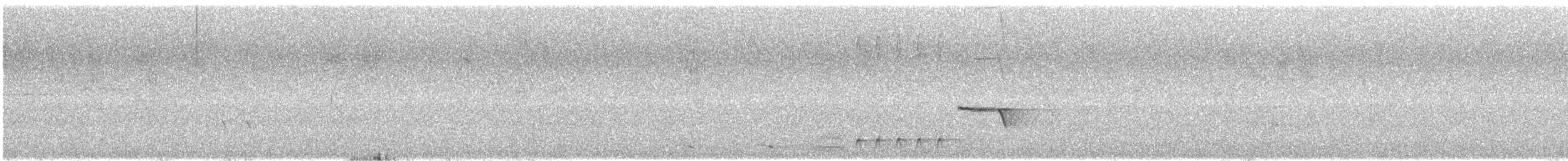 Gray Shrikethrush - ML646170387