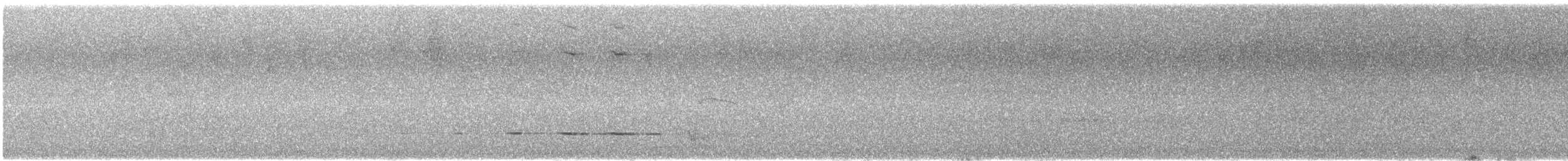 Gray Shrikethrush - ML646170427