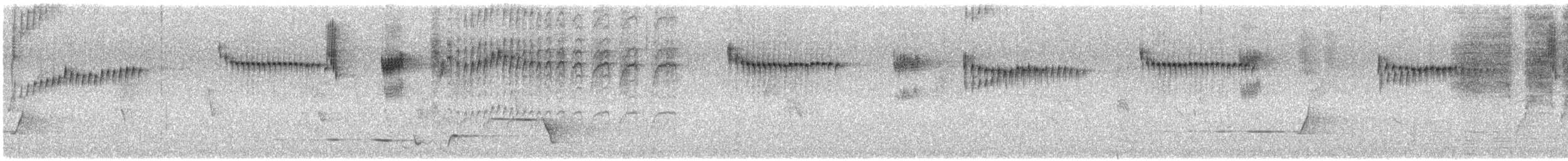 Splendid Fairywren - ML646170481