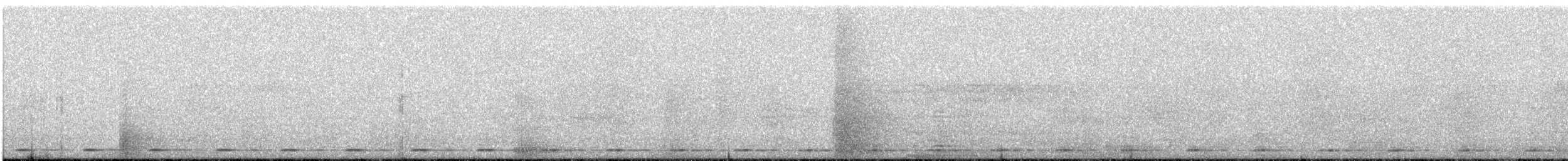 Coppersmith Barbet - ML646170637