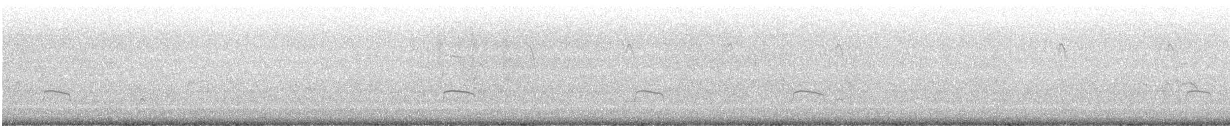 שלצדף החוף - ML646170672