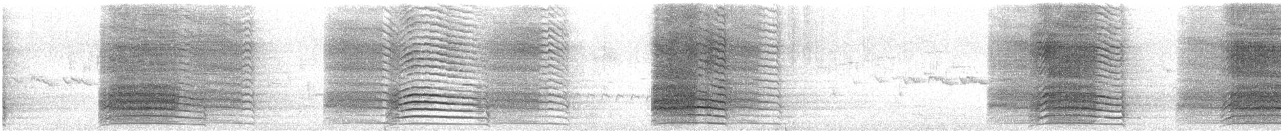 Western Corella - ML646170770