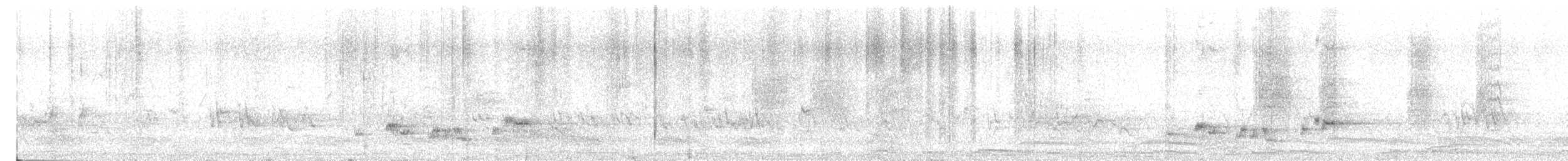 Spotted Dove - ML646170812