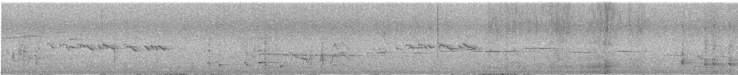 Red Wattlebird - ML646170886