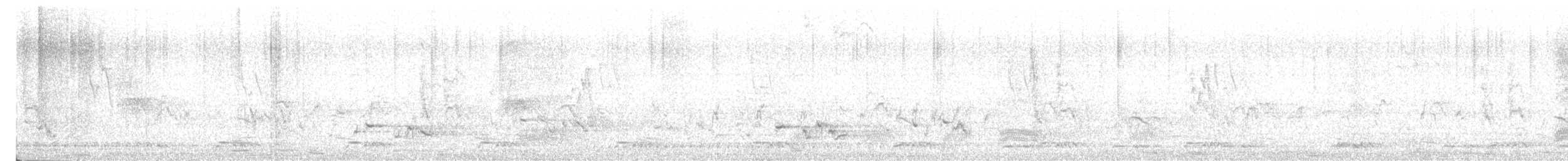 White-cheeked Barbet - ML646170888