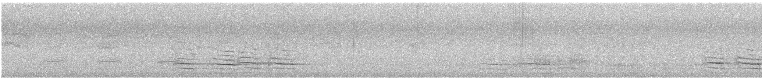 Western Corella - ML646171160