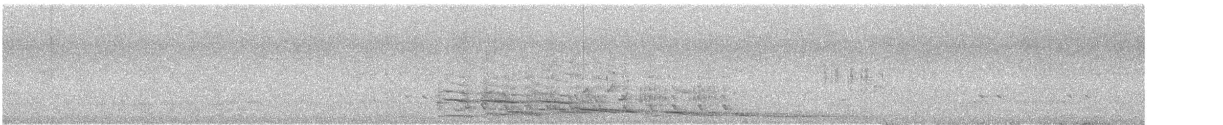 Australian Magpie (Western) - ML646171164