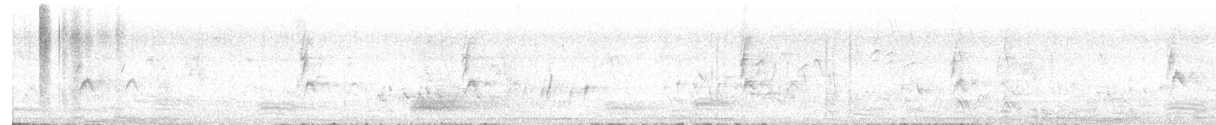 Jungle Myna - ML646171212