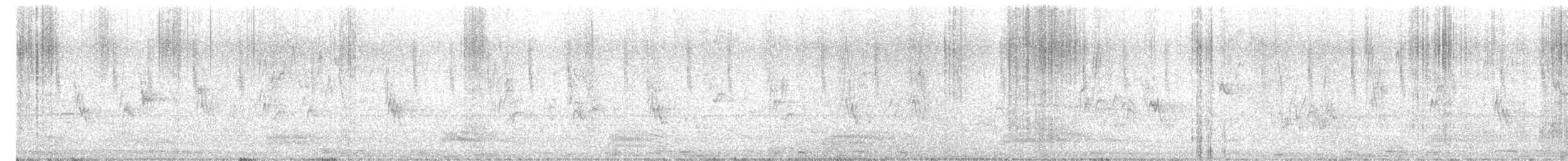 White-browed Wagtail - ML646171271