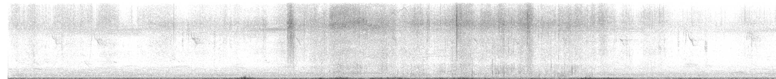 pipit sp. - ML646171286