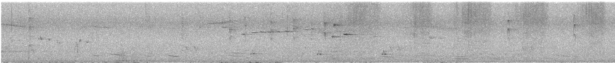 Gray Fantail (preissi) - ML646171348