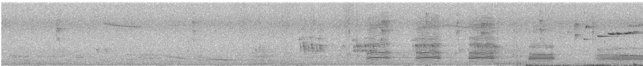 Cuervo Australiano - ML646171354