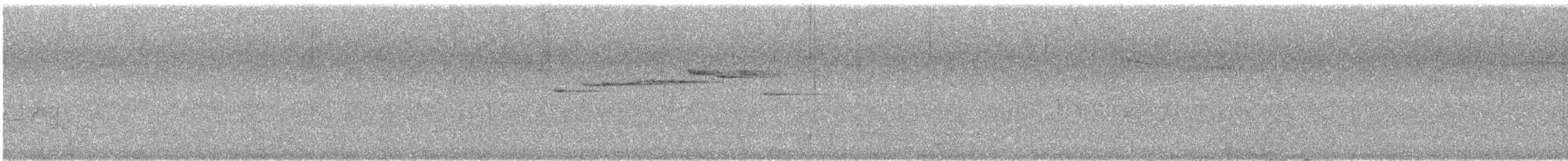 Gray Fantail (preissi) - ML646171439