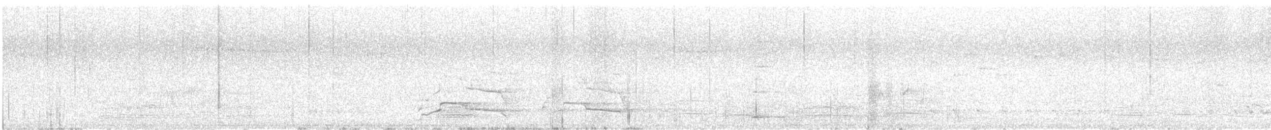 Western Corella - ML646171576