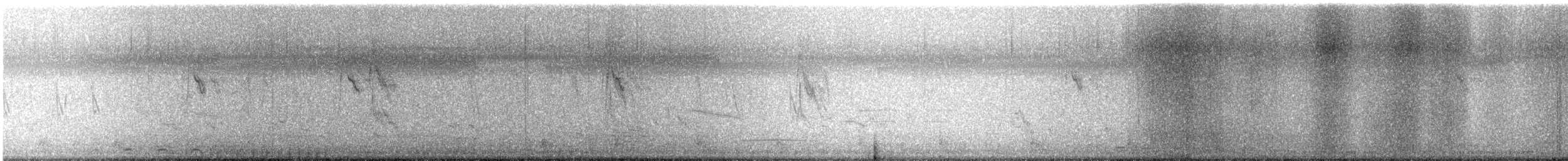 鷚屬 - ML646171592