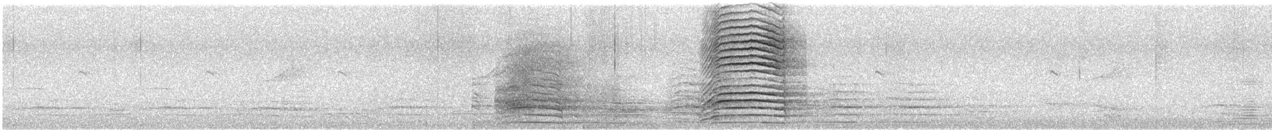 Western Corella - ML646171718