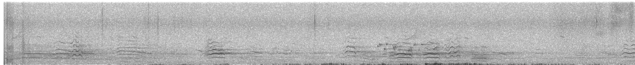 Western Corella - ML646171754