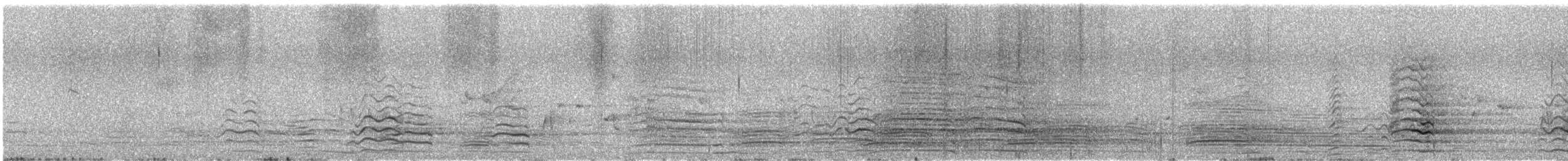 ミナミワタリガラス - ML646171756