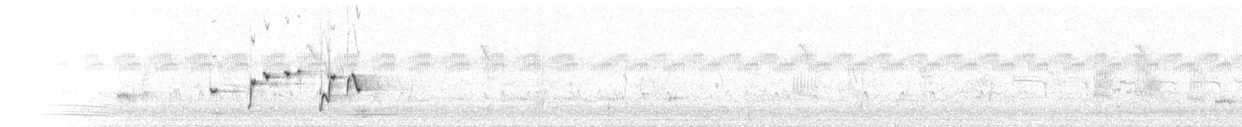 Willie-wagtail - ML646171810