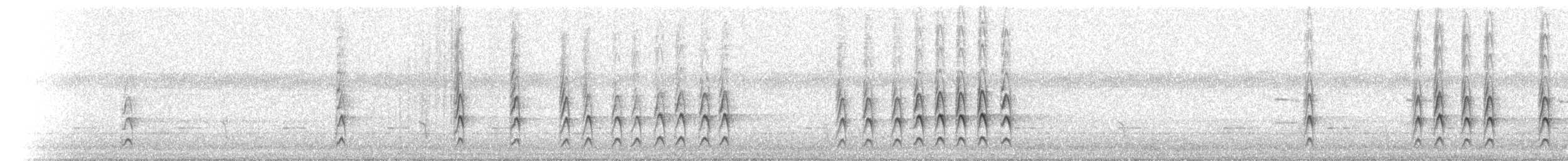 White-plumed Honeyeater - ML646171852