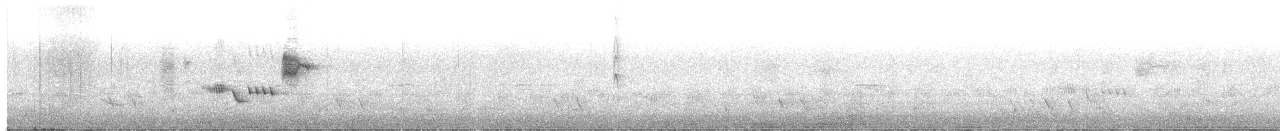 Brown Thornbill - ML646172188