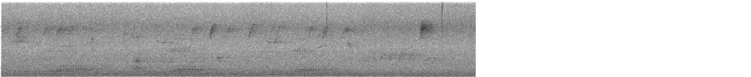 latterkokaburra - ML646172239