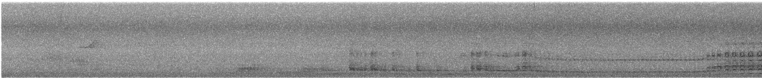 Cucaburra Común - ML646172337