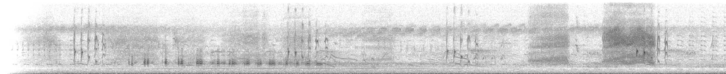 Wandering Whistling-Duck - ML646172405