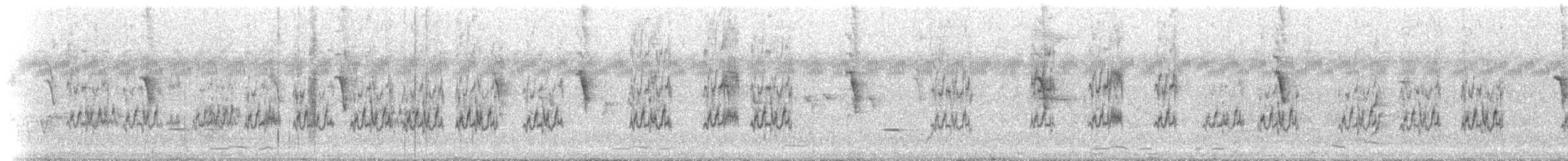 Budgerigar - ML646172413