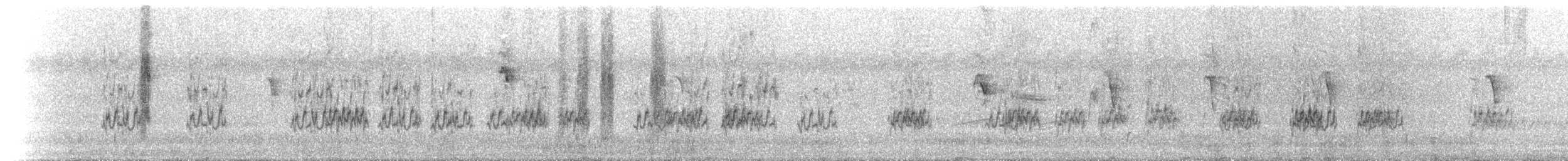 Budgerigar - ML646172414