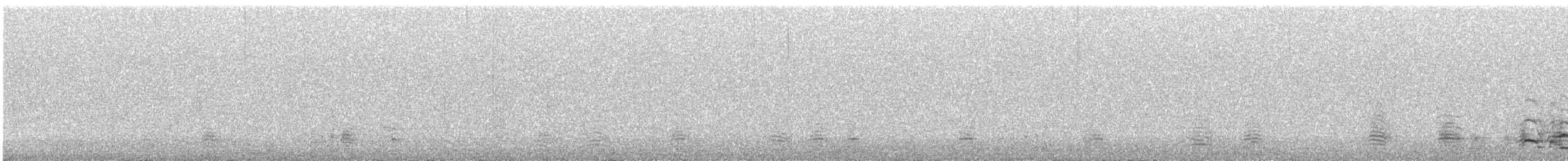 Greater White-fronted Goose - ML646172566