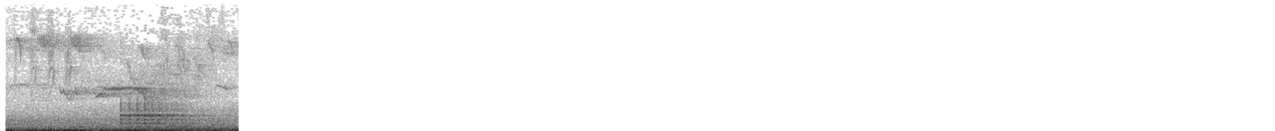 Great Spotted Woodpecker - ML646172679