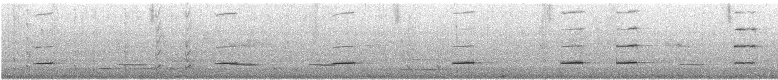 Australian Ringneck - ML646172719