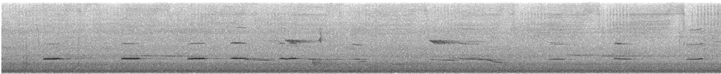 Australian Ringneck - ML646172814