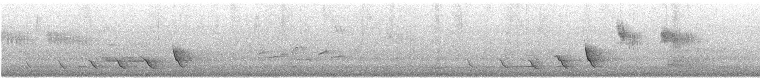 Golden Whistler (Western) - ML646172825