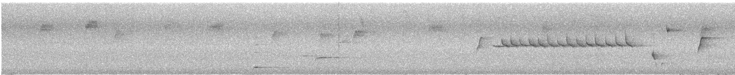 Gray Fantail (preissi) - ML646173037