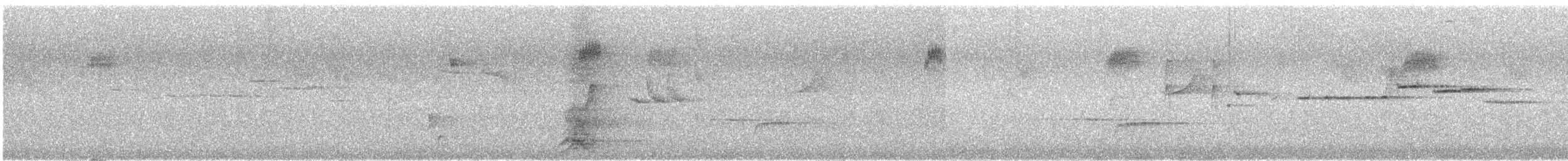 Red Wattlebird - ML646173045