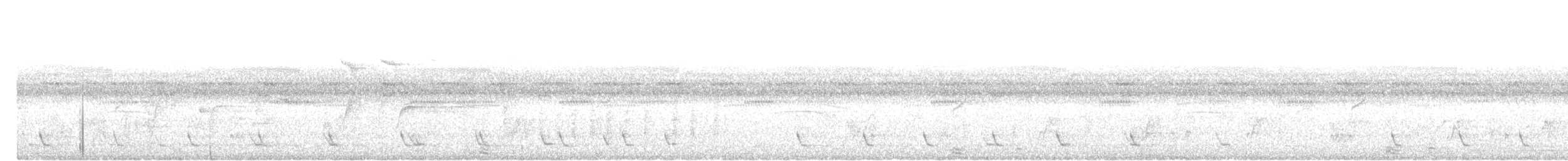 Bold-striped Tit-Babbler - ML646173485